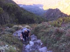 Hiking to the top of Table Mountain in Kirstenbosch Botanical Garden